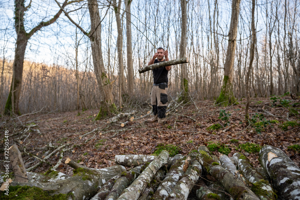Jeune bucheron jetant une buche sur un tas de bois en forêt Jeune bucheron jetant une buche sur un tas de bois en forêt
