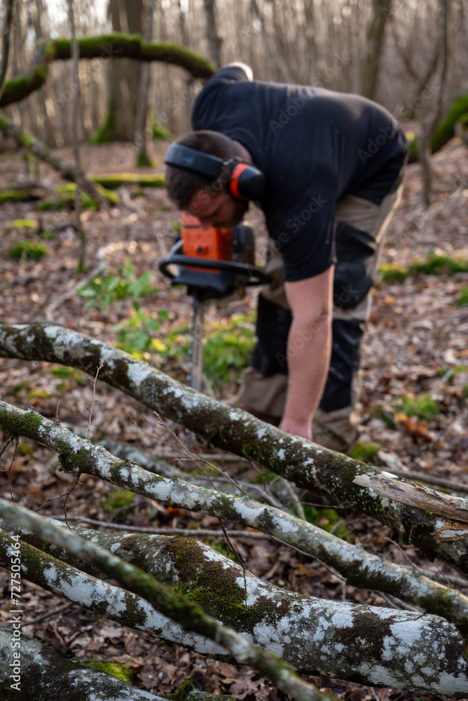 bucheron au travail en forêt avec un casque anti bruit bucheron au travail en forêt avec un casque anti bruit