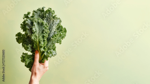 Hand holding kale vegetable isolated on pastel background photo