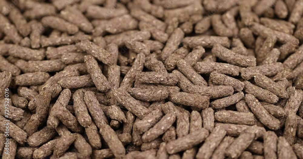 combined food for rodent pets, combined healthy food for rodent breeding combined food for rodent pets, combined healthy food for rodent breeding