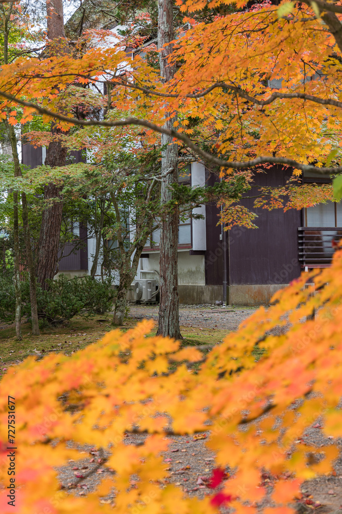 Obraz premium 日本 岩手県西磐井郡平泉町にある毛越寺の境内の紅葉