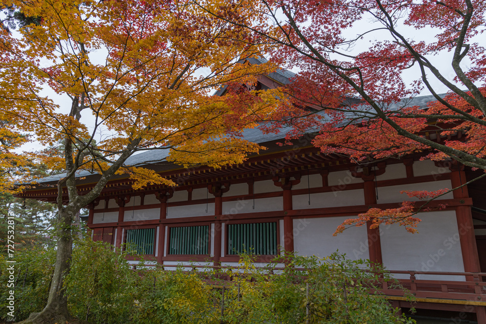 日本　岩手県西磐井郡平泉町にある毛越寺の本堂と紅葉