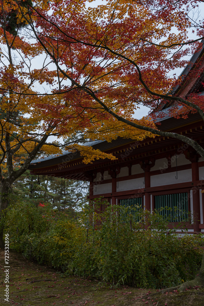 日本 岩手県西磐井郡平泉町にある毛越寺の本堂と紅葉 日本 岩手県西磐井郡平泉町にある毛越寺の本堂と紅葉