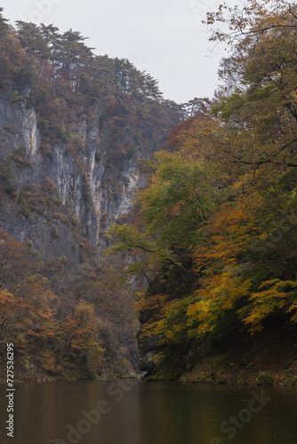 日本 岩手県一関市を流れる砂鉄川沿いの渓谷、猊鼻渓の舟下りの船上から見える紅葉