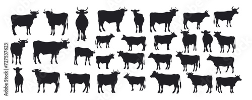 collection set vector cow cartoon silhouette icon illustration isolated on white background. Hand drawn vector illustration.