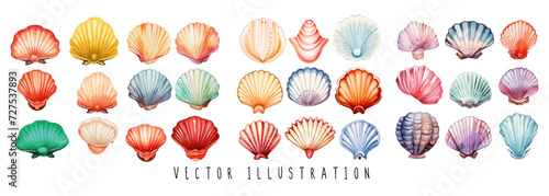 collection of watercolor seashells  isolated on white background. Ocean marine sea element graphic design. Vector illustration