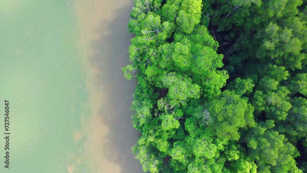 Aerial view of Bird Island or pulau burng which is full of mangrove forests and surrounded by beautiful sea water Aerial view of Bird Island or pulau burng which is full of mangrove forests and surrounded by beautiful sea water