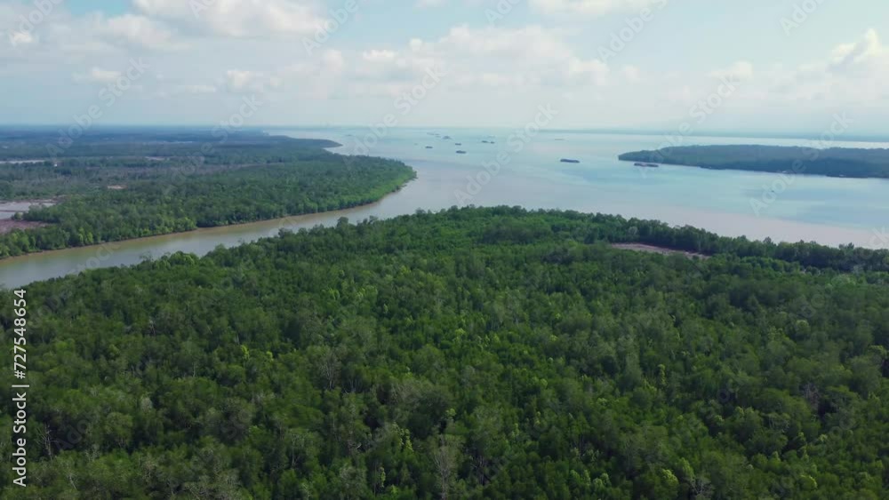 Aerial view of Bird Island which is full of mangrove forests and surrounded by beautiful sea water Aerial view of Bird Island which is full of mangrove forests and surrounded by beautiful sea water