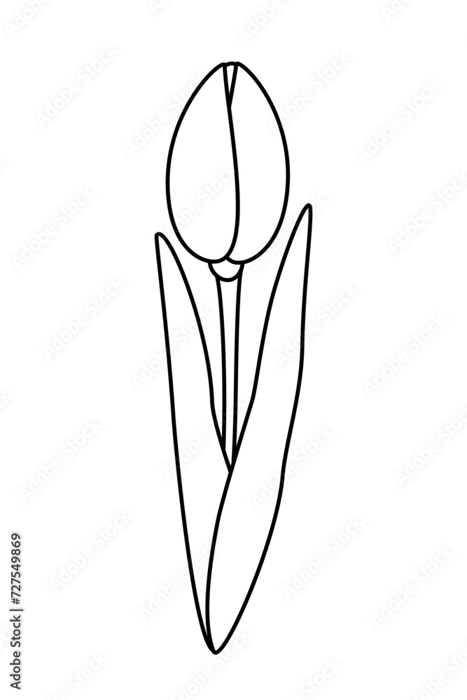 Contour drawing of an unopened tulip flower. Design elements for coloring or springtime greetings Contour drawing of an unopened tulip flower. Design elements for coloring or springtime greetings
