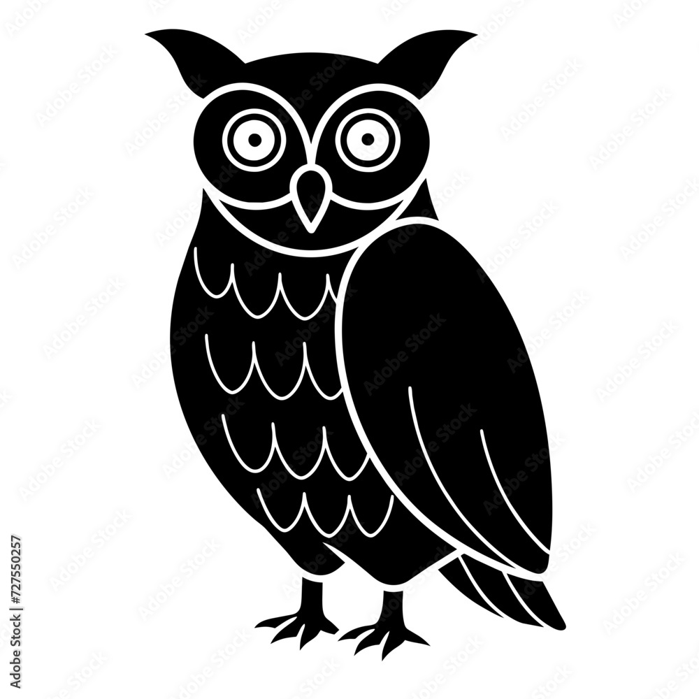 owl owl