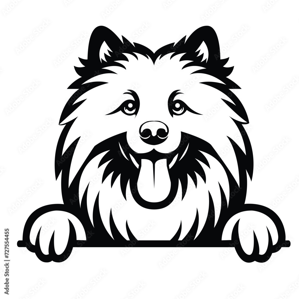   Keeshond dog peeking face illustration vector