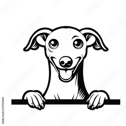   Italian Greyhound dog peeking face illustration vector
