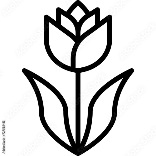tulip outline icon #727555443