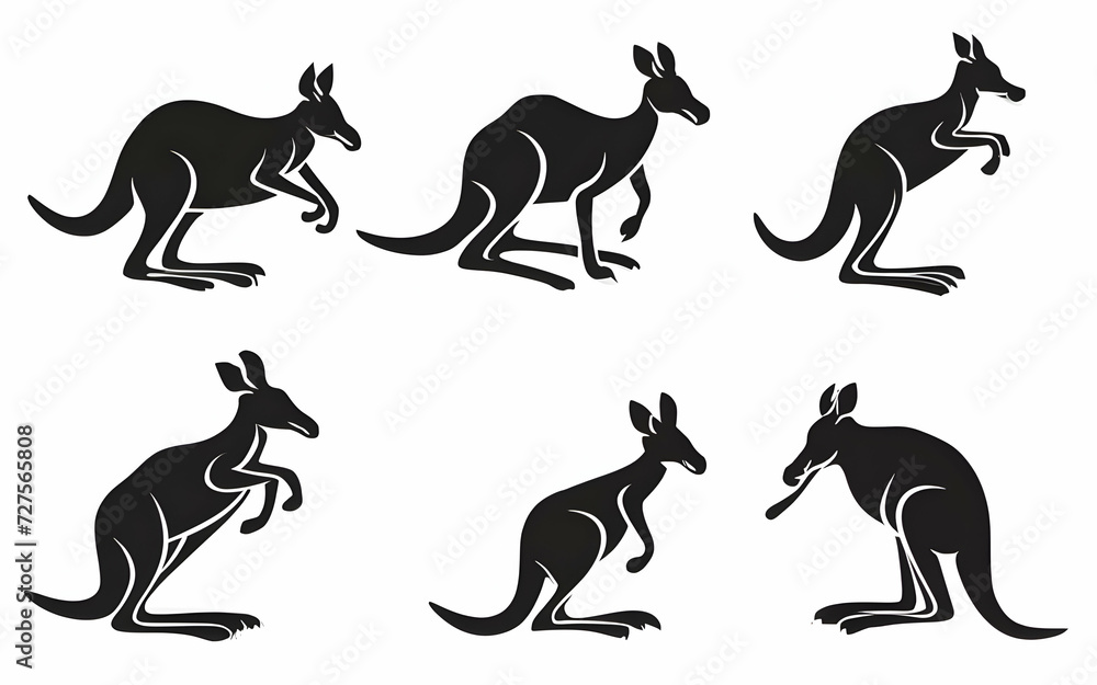 Eastern giant grey kangaroo (Macropus giganteus), adult, female, mother with young, isolated on a white background 