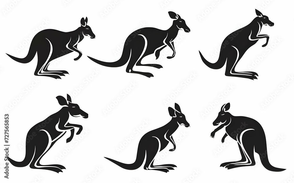 Eastern giant grey kangaroo (Macropus giganteus), adult, female, mother with young, isolated on a white background 