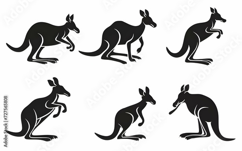 Eastern giant grey kangaroo  Macropus giganteus   adult  female  mother with young  isolated on a white background 