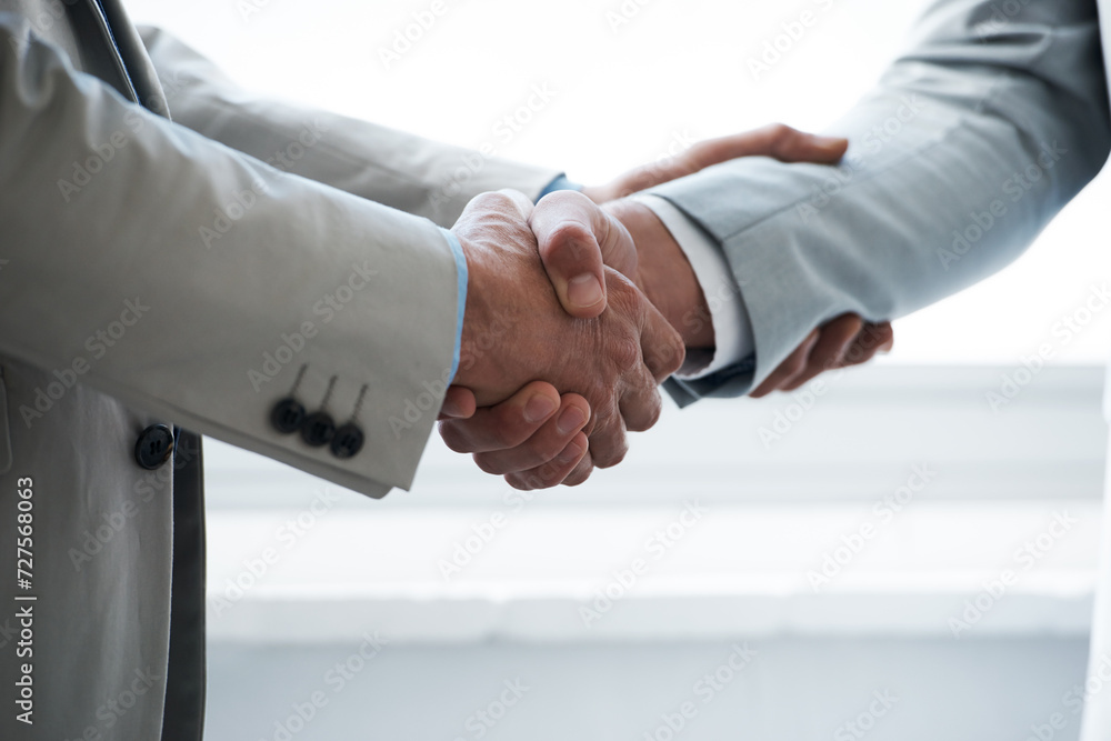 Handshake, business people and agreement in partnership, onboarding and thank you for recruitment. Coworkers, closeup and deal for merger in workplace, collaboration and support in cooperation