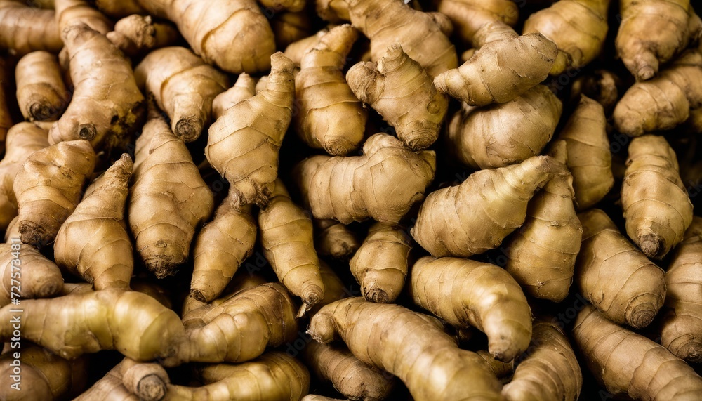 A pile of freshly dug ginger root A pile of freshly dug ginger root