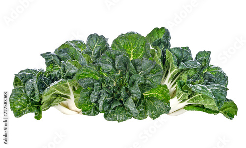 Bok choy vegetable isolated on white background.