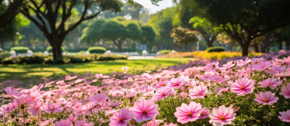 floral display, the beautiful pink petals of the summer flowers added a natural touch of beauty to the park floral display, the beautiful pink petals of the summer flowers added a natural touch of beauty to the park