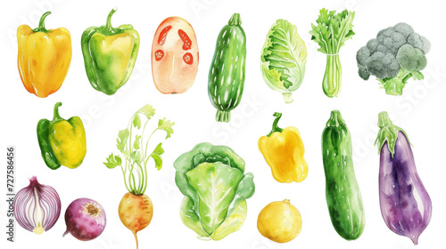 Watercolor painted hand-drawn collection vegetables and fruits. design elements  greenery  leaves  corn  wheat  tomato  potato  leaves  stalks  Broccoli  carrot  pepper  garlic transparent background