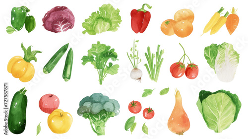 Watercolor painted hand-drawn collection vegetables and fruits. design elements: greenery, leaves, corn, wheat, tomato, potato, leaves, stalks, Broccoli, carrot, pepper, garlic transparent background