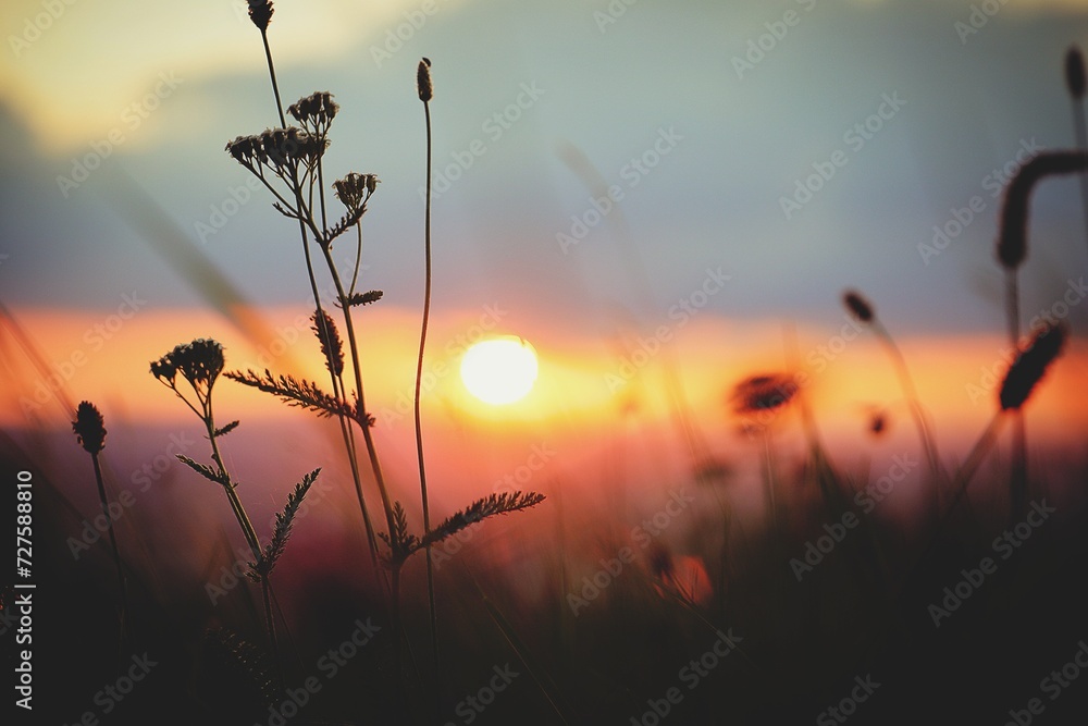Sunset Sunset