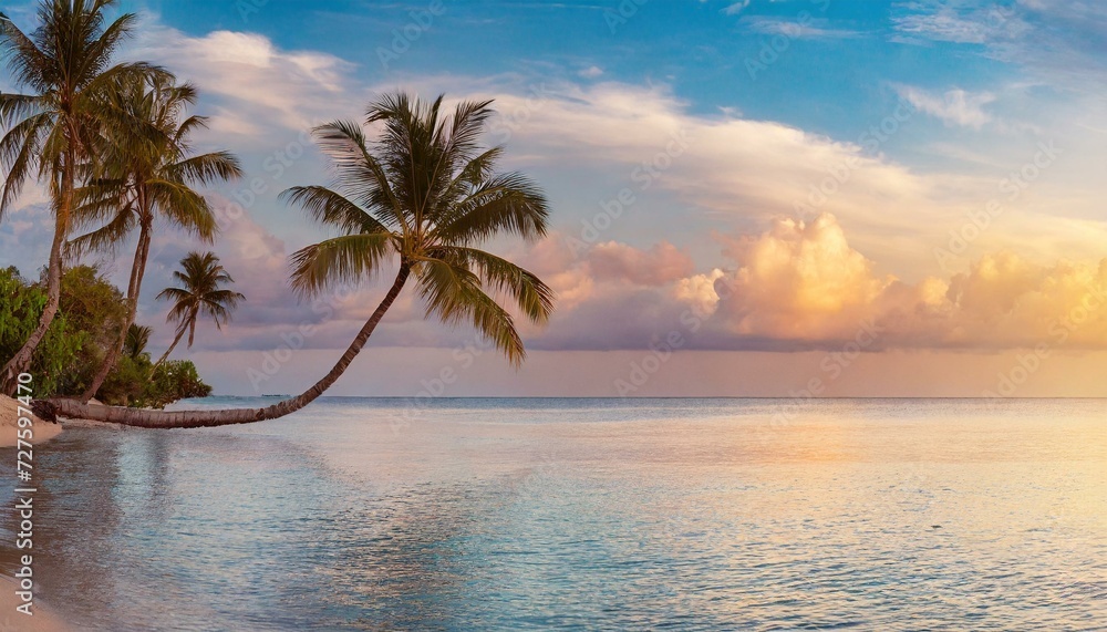 tree on the beach, Paradise beach with palm trees and calm ocean at dawn or sunset. Panoramic banner of a peaceful landscape