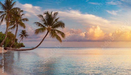 tree on the beach  Paradise beach with palm trees and calm ocean at dawn or sunset. Panoramic banner of a peaceful landscape