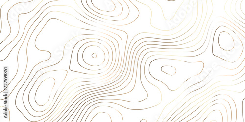 Abstract background with topographic contours map .white wave paper and geographic golden line abstract background .vector illustration of topographic line contour map design .