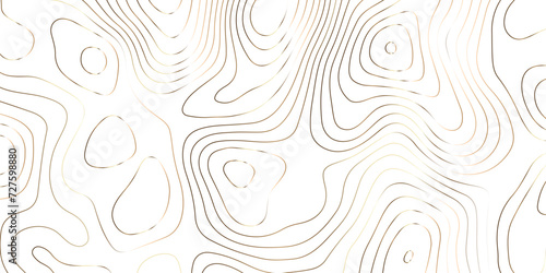 Abstract background with topographic contours map .white wave paper and geographic golden line abstract background .vector illustration of topographic line contour map design .