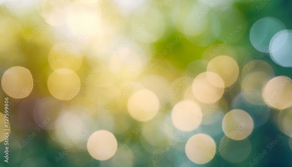 Obraz premium forest bokeh background.
