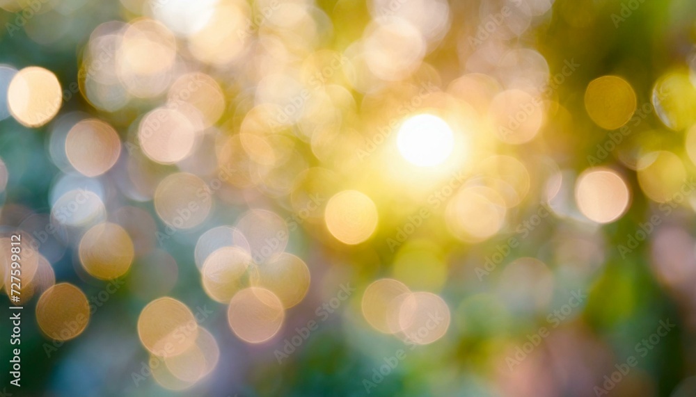 Obraz premium forest bokeh background.