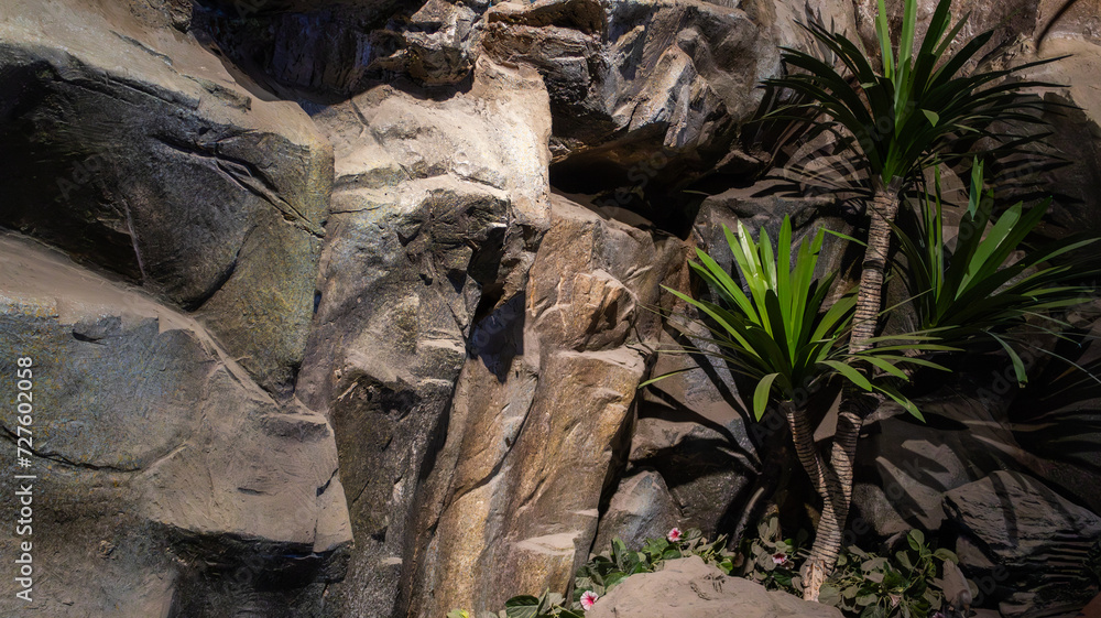 Huge rocks stone and light shining down, resembling a cave., tree trunk with roots, background landscapes Huge rocks stone and light shining down, resembling a cave., tree trunk with roots, background landscapes