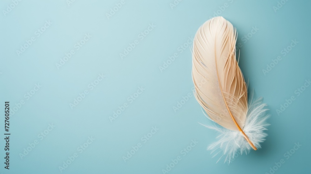 A delicate feather rests gently on a soft blue backdrop, evoking lightness