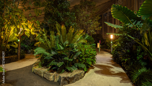 garden with trees