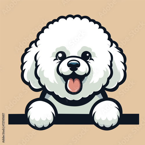 Bichon Frise peeking face illustration vector
  photo