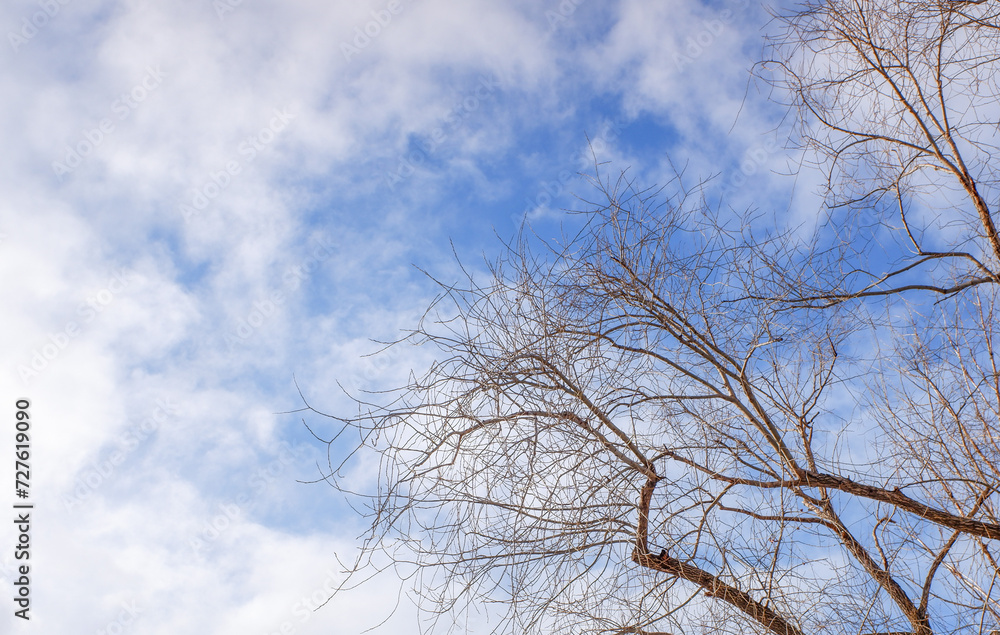 blue sky and white clouds sky background blue sky and white clouds sky background