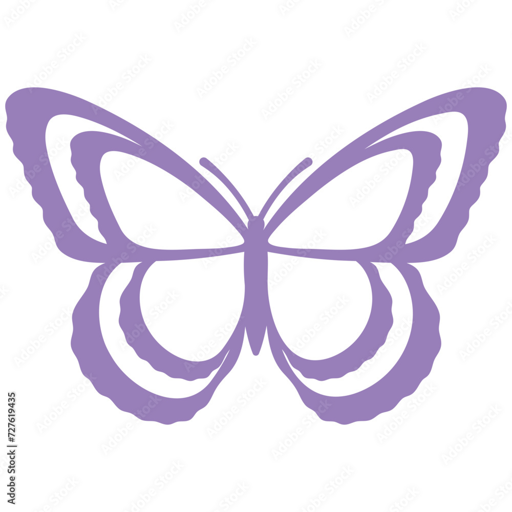 Purple Butterfly Purple Butterfly
