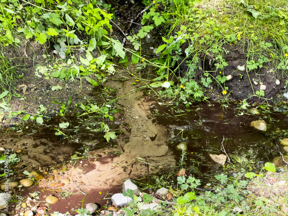 Hillside seepage Hillside seepage