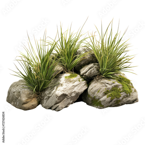 Rock and grass clipart on transparent background