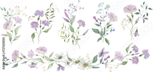 Fototapeta Naklejka Na Ścianę i Meble -  Watercolor floral set. Hand drawn illustration isolated on transparent background. Vector EPS.