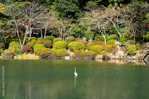 Beautiful pond Garden at Umijigoku in Beppu  Japan