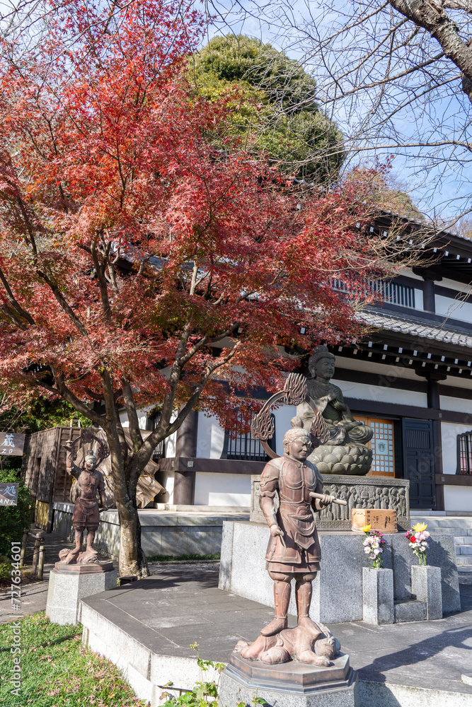 Obraz premium Hasedera-temple in Kamakura, Japan
