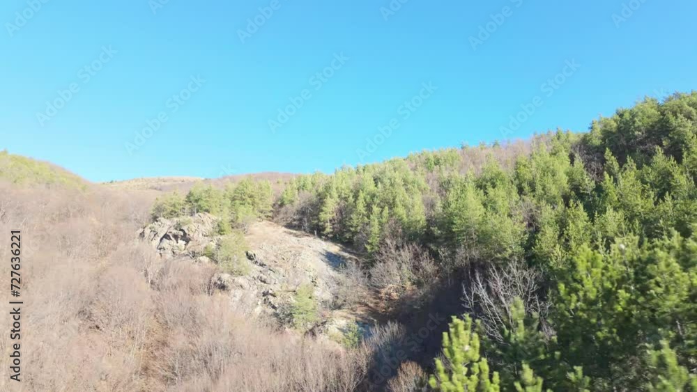 Pine trees cover hills in the Balkan mountains on a sunny winter day with clear skies, rocky parts and mixed forest with many pine trees Pine trees cover hills in the Balkan mountains on a sunny winter day with clear skies, rocky parts and mixed forest with many pine trees