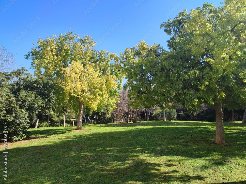 Photo of a lovely municipal park in Akadimia Platonos, Athens, Greece.