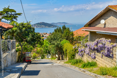 sea view from Cicegi Sokak street in Adalar on Buyukada (Princes' Islands, Turkey) photo