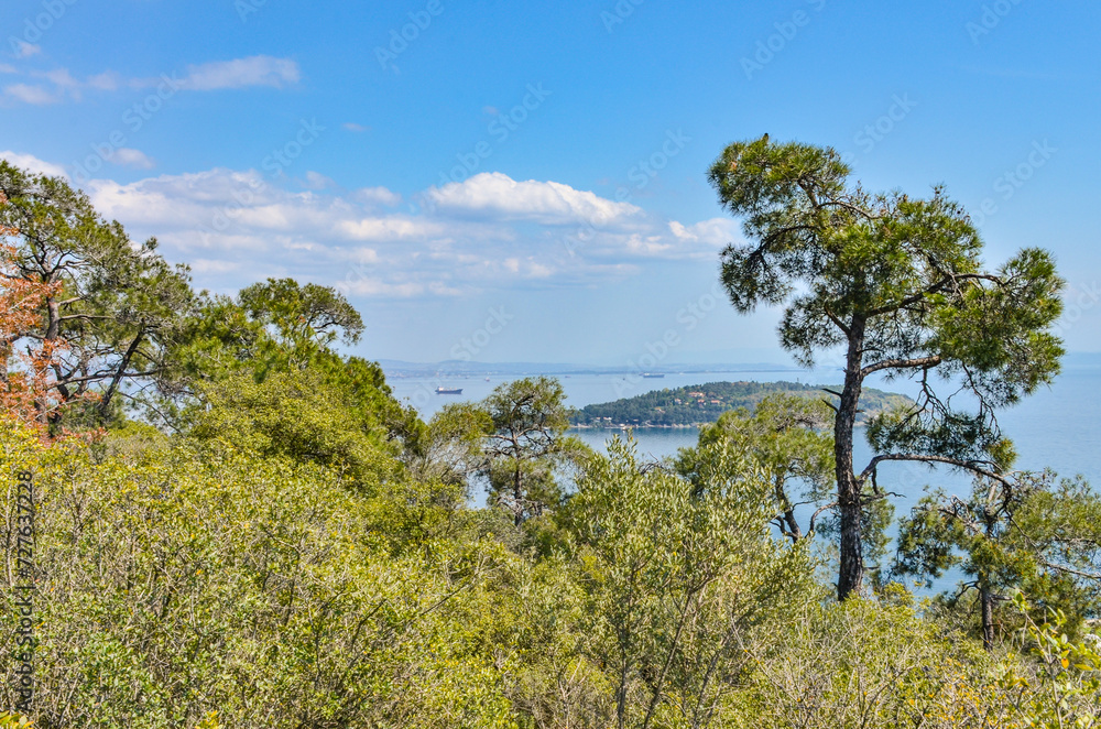 Sedef Island and Marmara sea scenic view from pine forest on Buyukada island (Adalar, Turkey) Sedef Island and Marmara sea scenic view from pine forest on Buyukada island (Adalar, Turkey)