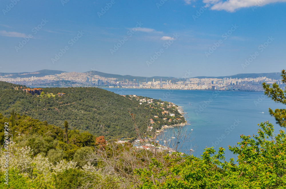 Prinkipo Greek Orthodox Orphanage ruins and Istanbul Anatolian side scenic view from Büyükada National Park (Adalar, Turkey)