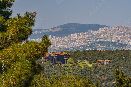 Prinkipo Greek Orthodox Orphanage ruins and Istanbul Anatolian side scenic view from Büyükada National Park (Adalar, Turkey) photo